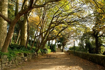 Fototapeta premium Crystal Palace gardens in Oporto, Portugal