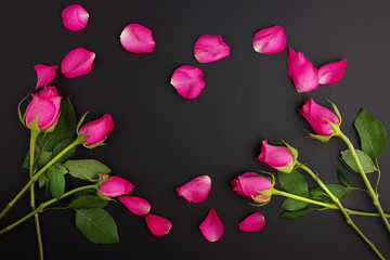 Pink roses on a black background with copyspace