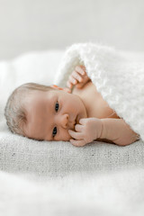 portrait of a newborn on white plaid.