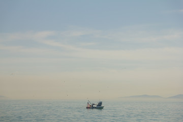 Naklejka na ściany i meble fishing boat on the Bosporus,surrounded by seagulls in Turkey