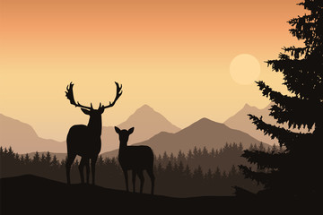 Fototapeta na wymiar Deer and hind in a mountain landscape with coniferous forest and trees, under the morning sky with the rising sun