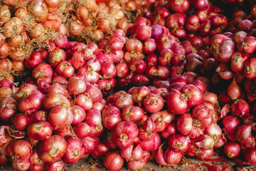 Shallots or Allium ascalonicum.