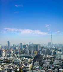 Fototapeta na wymiar Cityscapes of tokyo in Fog after rain in winter season, Skyline of Bunkyo ward, Tokyo, Japan, Tokyo is the world's most populous metropolis and is described as command centers for world economy.
