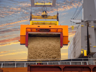 Raw sugar bulk is loading in hold's vessel by roll trainer.