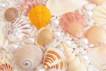 White pearls and seashells on stones background