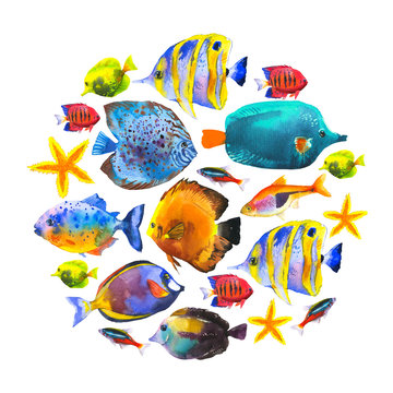 Round composition with tropical fish. Watercolor illustration with hand drawn aquarium exotic fish on white background.