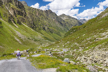 Fototapeta na wymiar Senior Woman Hiking In Green Valley, Austria