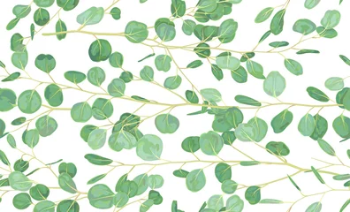 Fototapete Aquarellblätter Handgemalte Aquarell nahtlose Muster mit Eukalyptus-Silber-Dollar-Niederlassungen. Vector dekorative schöne Illustration
