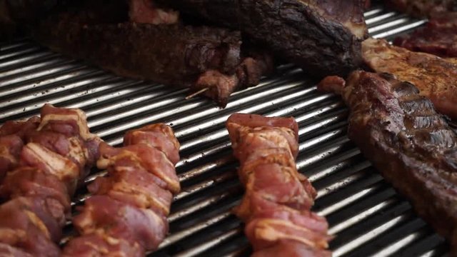 Frying Fresh Meat, Chicken Barbecue, Sausage, Kebab, Hamburger, BBQ at Picnic
