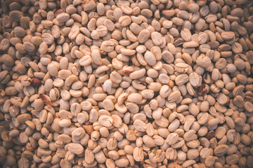 Raw coffee beans. Dry in the sun, not roasted or baked with heat.