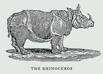 the rhinoceros in side view (after a historical woodcut, engraving, illustration from the 18th century). Easy editable in layers