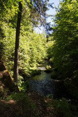 Kammnitzklamm, Böhmen, Tschechien