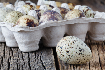 Quail eggs on old brown wooden surface