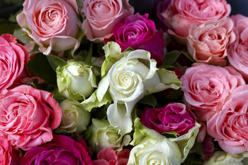 Bouquet of pink and white roses