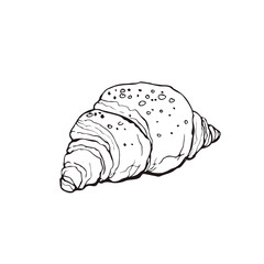 Hand drawn bread isolated on white background. Croissant icon vector illustration in sketch style.