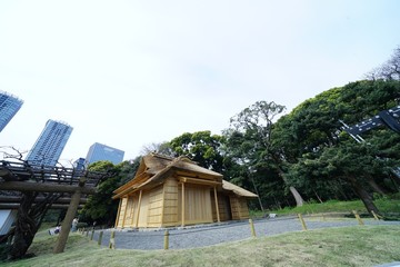 浜離宮庭園の春