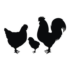 chicken family