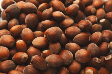Fresh organic hazelnuts background