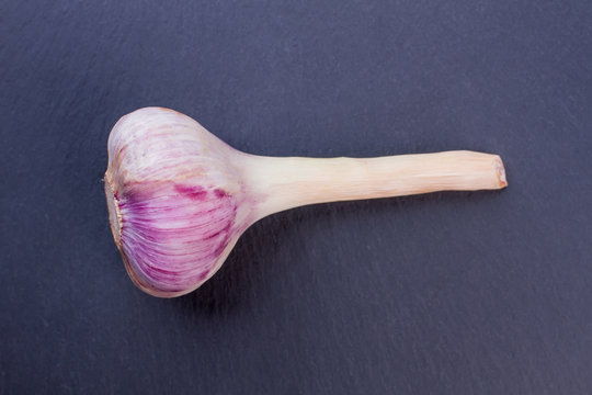 Fresh young garlic on dark background. Close up one garlic on dark textured background.