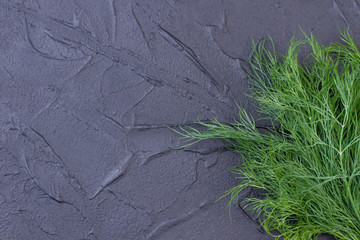Bunch of fresh dill herb on slate. Fresh juicy dill on black slate background, copy space. Reasons to eat dill.