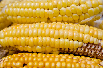 A bunch of fresh corn