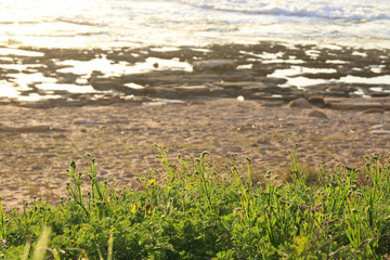 background of beach and sea at sunset colors.