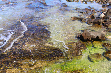 background of beach and the sea.