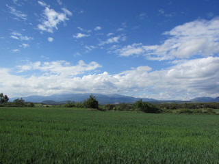 Obraz premium View to Pyrenees mountains, Spain