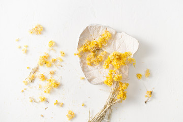 The dried herb Helichrysum on a white table