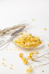 The dried herb Helichrysum on a white table