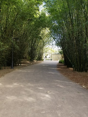 entrance to Japanese garden