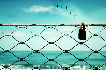 freedom concept. image fence and old rusty lock and birds flying in the horizon. everything is...