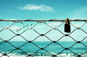 freedom concept. image fence and old rusty lock and birds flying in the horizon. everything is...