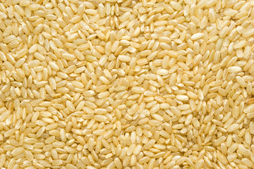 Brown rice background texture, yellow wild long grain natural rice, jasmine rice closeup