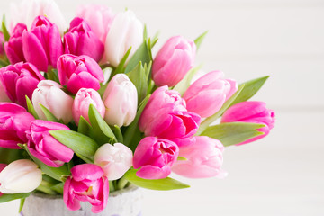 Pink tulip on the white background. Easter background