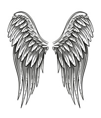 Hand Drawn Wings