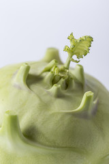 Fresh kohlrabi