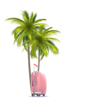 Palm And Pink Suitcase