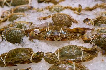Crabs on the ice.
