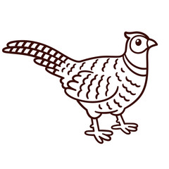 Fototapeta na wymiar Cartoon pheasant drawing
