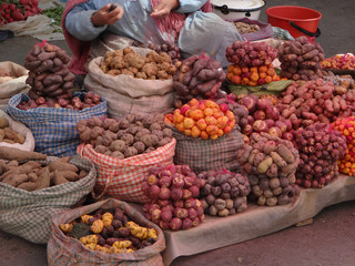 Potatoes in Bolivia, La Paz