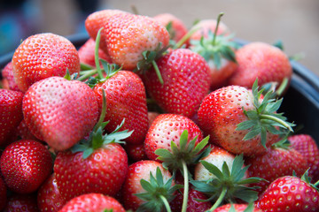 Fresh strawberry