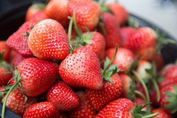 Fresh strawberry