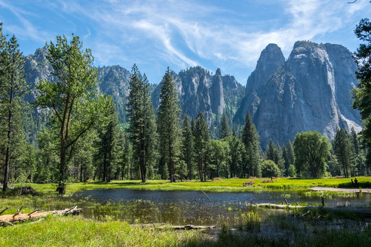 green summer valley of Yosemite and the river Merced. Yosemite National Park, California, USA