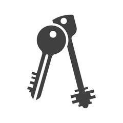 Vector icon of two keys on a white background. Vector