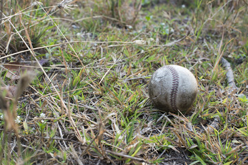 used baseball on the fresh green grass with copy space