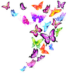 Plakat beautiful color butterflies,set, isolated on a white