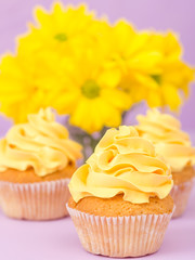 Cupcakes decorated with yellow cream and chrysanthemums on violet pastel background for greeting card with copyscape.