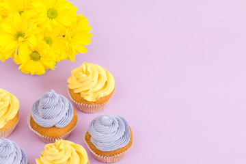 Cupcakes decorated with yellow and violet cream and chrysanthemums on violet pastel background for greeting card with copyscape.