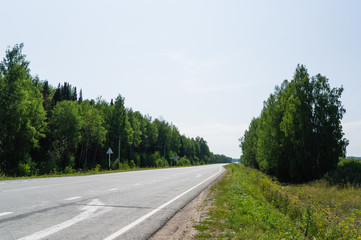 Highway near the forest in summer